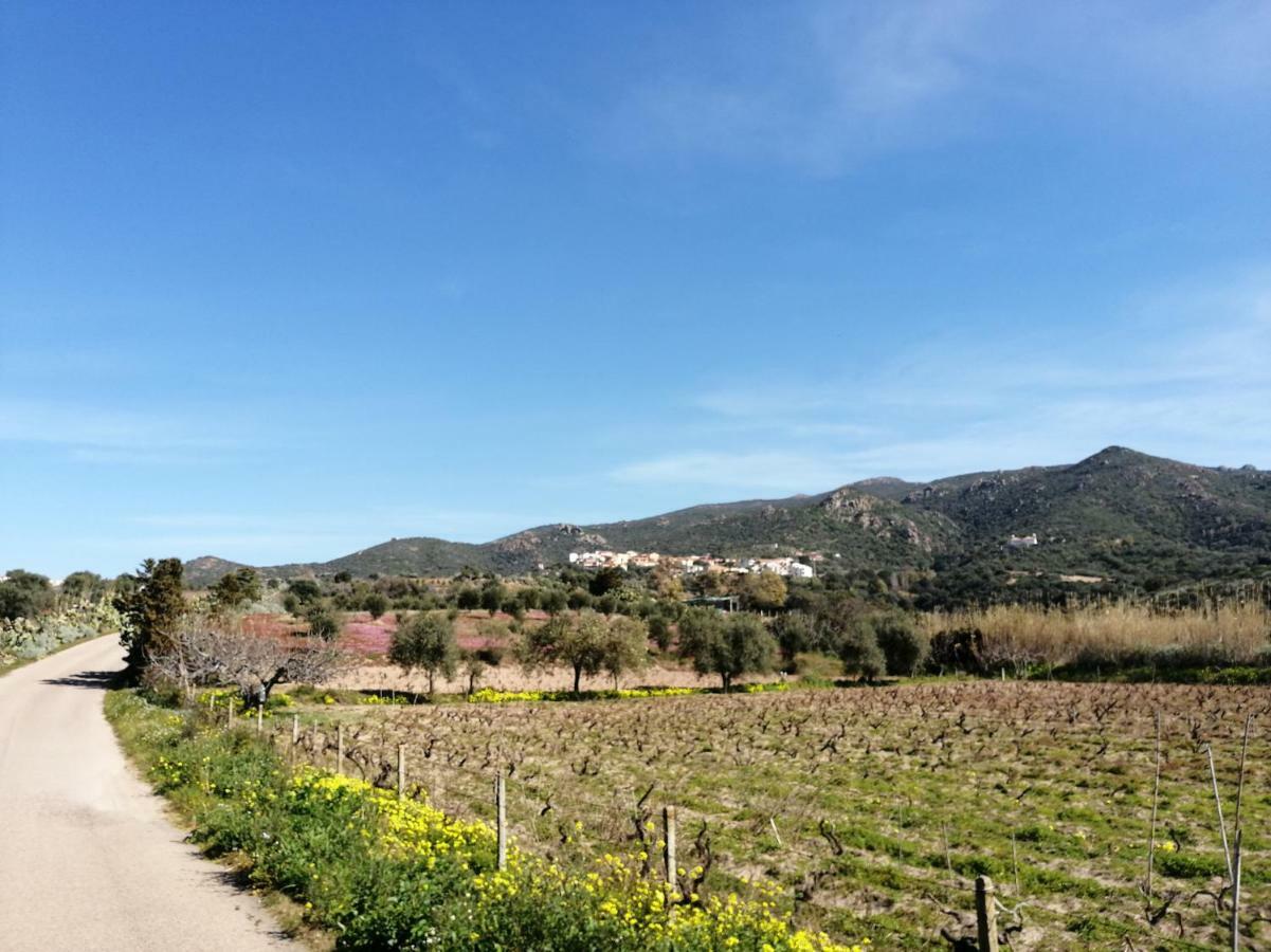 Appartamenti Mareblu Badesi Exterior foto